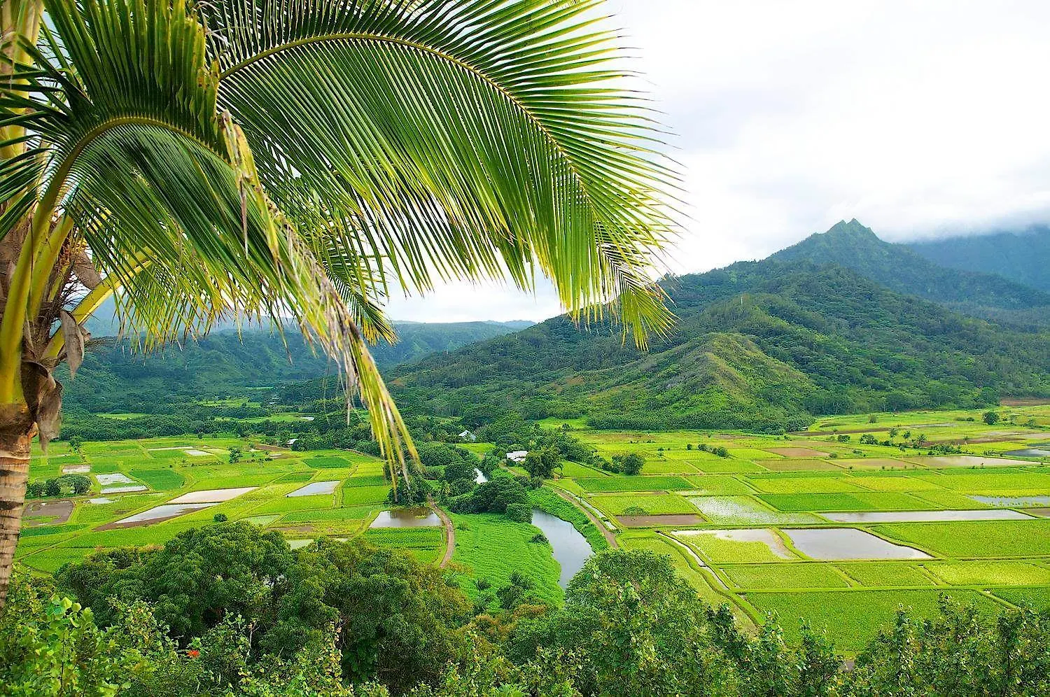 Waipouli Beach Resort Exquisite Ocean View Condo In Oceanfront H Building! Kapa'a