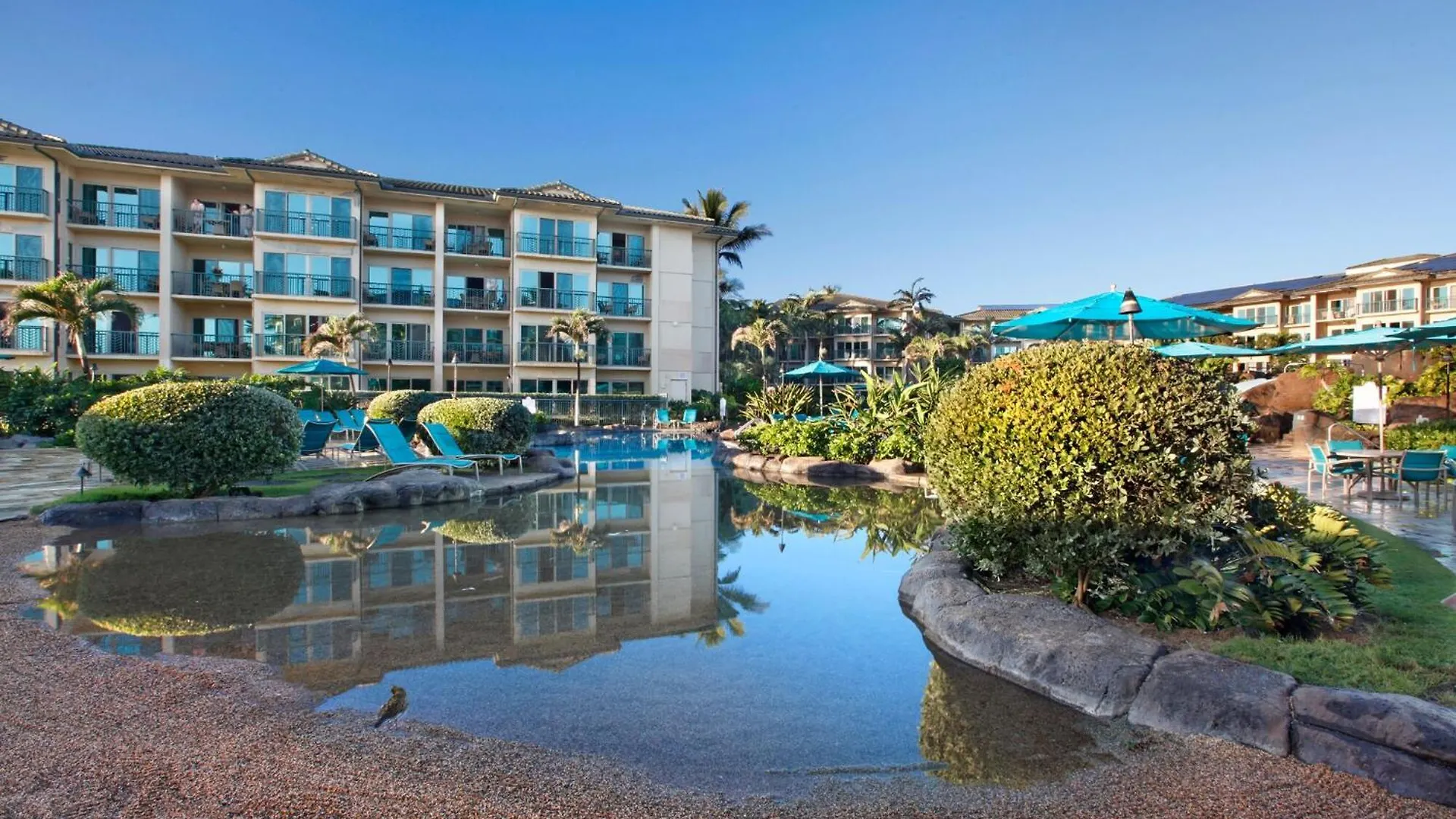 Apartment Waipouli Beach Resort Exquisite Ocean View Condo In Oceanfront H Building! Kapa'a